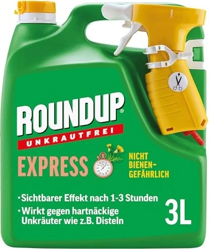 saatgut stangenbohnen BIO Saatgut Stangenbohne Goldfield  Biogartenladen