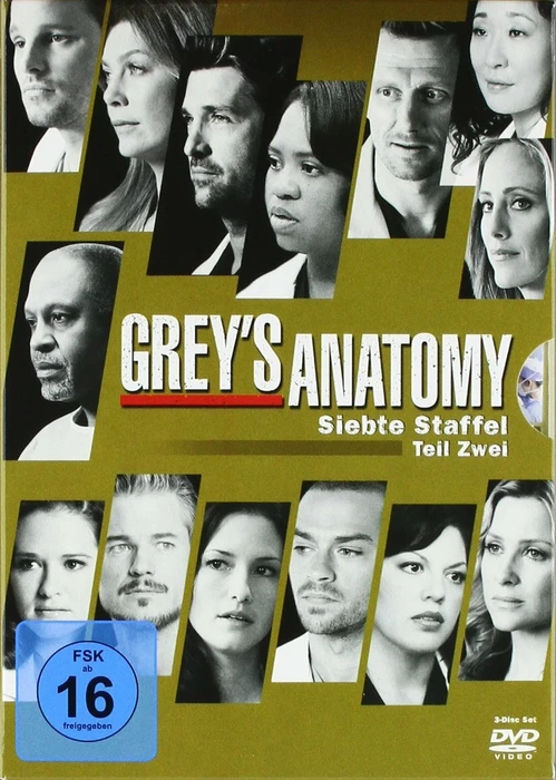 Grey's Anatomy - Die jungen Ärzte Season 7.2 (DVD)