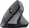 Trust Bayo+ Multidevice Ergonomic Wireless Mouse schwarz, ECO zertifiziert, USB/Bluetooth Vorschaubild
