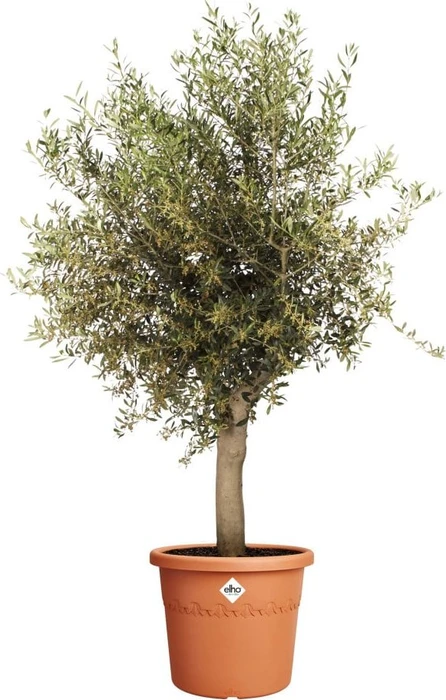 Elho Algarve Cilindro 58cm terra