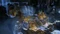 Lara Croft und der Tempel des Osiris inkl. Season Pass (Download) (PC) Vorschaubild