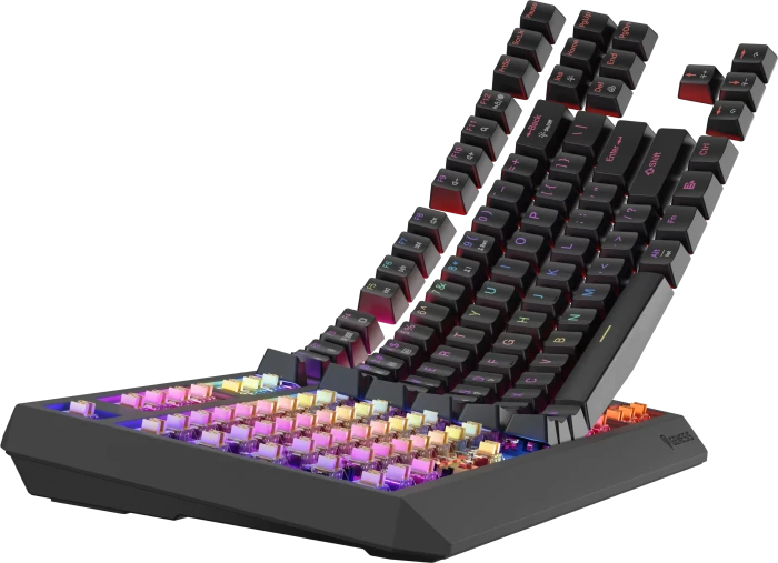 Genesis Thor 230 TKL Wireless, schwarz, LEDs RGB, hot-swap, Outemu Panda, USB/Bluetooth, US