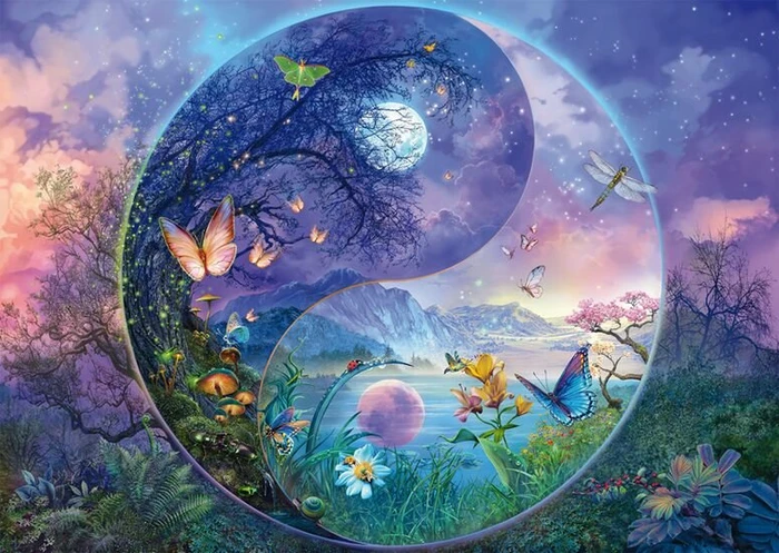 Schmidt Spiele Silvia Christoph Yin & Yang Fantastische Insektenwelt