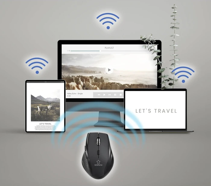Renkforce RF-WM-210 Wireless Ergonomic Mouse schwarz, USB