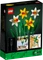 LEGO Botanicals - Narzissen Vorschaubild