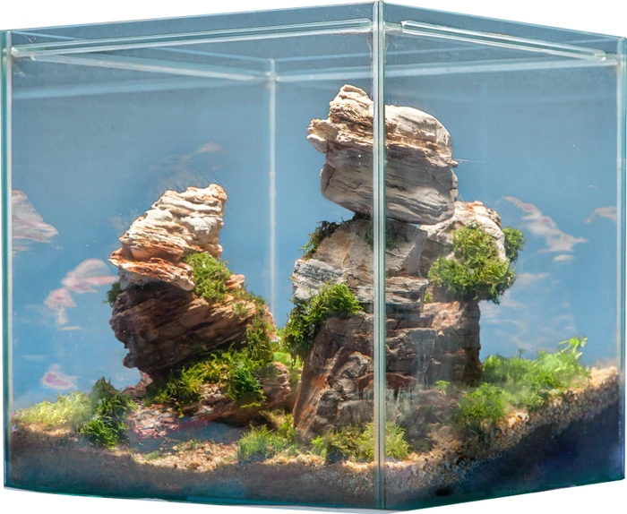 sera Scaper Cube 64 Starterset, Aquarium-Set, 64l