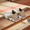adidas Courtstabil off white/gold metallic/crystal sand (Damen) Vorschaubild