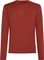 Icebreaker 260 Tech Crewe Funktionsshirt langarm (Herren) Vorschaubild