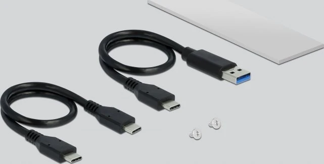 DeLOCK USB 3.2 Gen 2 External Enclosure, USB-C 3.1