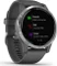 Garmin vivoactive 4 shadow grey/silver Vorschaubild