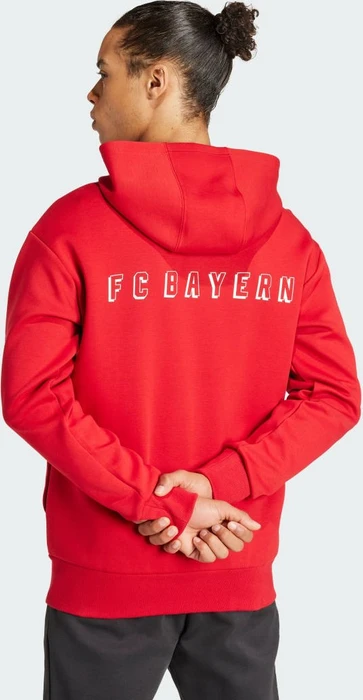 adidas FC Bayern München Anthem Hoodie team power red 2 (Herren)