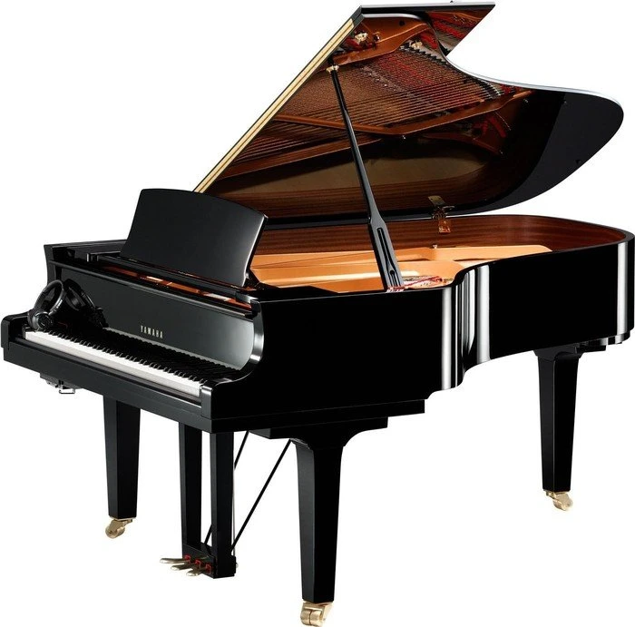 Yamaha C6X SH (verschiedene Farben)
