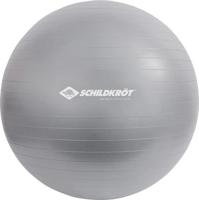 Schildkröt Fitness 55cm Gymnastikball