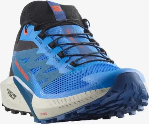 Salomon Sense Ride 5 french blue/black/dark blue (Herren)