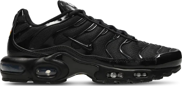 Nike Air Max Plus schwarz (Herren)