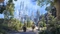 The Elder Scrolls: Online - Summerset (MMOG) (PC) Vorschaubild