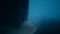 Reanimal (Download) (PC) Vorschaubild