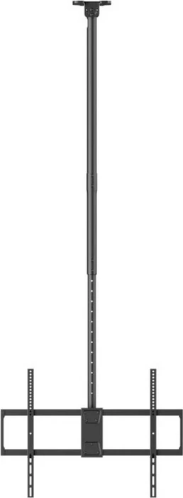 Reflecta Pallas 100-8060T