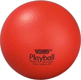 Volley Playball Volleyball