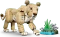 LEGO Creator 3in1 - Wilde Tiere: Majestätischer Löwe Vorschaubild
