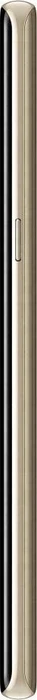Samsung Galaxy Note 8 Duos N950FD gold