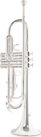 Roy Benson Bb-Trompete TR-202S