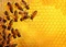 Ravensburger Puzzle Challenge Bienen Vorschaubild