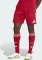 adidas Liverpool FC 2025/2026 Heimshorts (Herren) Vorschaubild