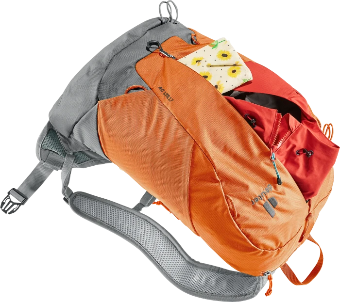 Deuter AC Lite 17 chestnut/teal
