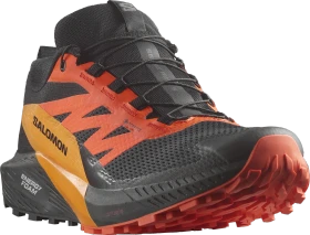Salomon Sense Ride 5 GTX black/scarlet ibis/turmeric (Herren)