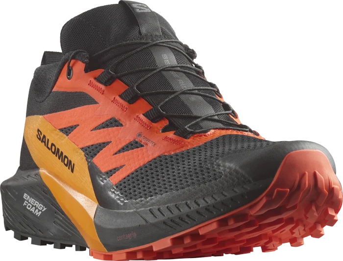 Salomon Sense Ride 5 GTX black/scarlet ibis/turmeric (Herren)