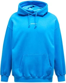 Peak Performance Original Terry Hoodie brilliant blue (Herren)