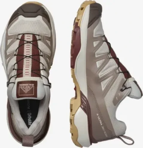 Salomon X Ultra 360 Edge GTX silver cloud/iron/rum raisin (Damen)