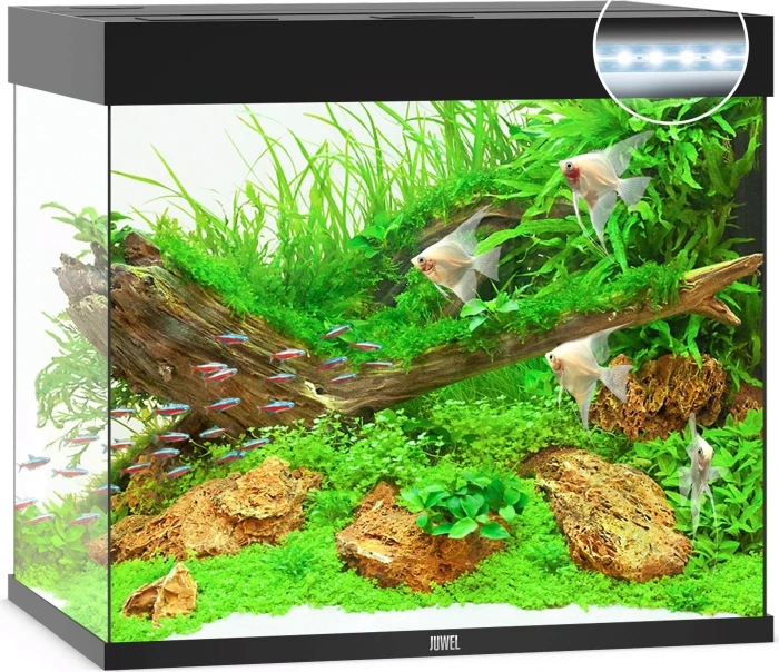Juwel Lido 200 LED Aquarium-Set, schwarz, 200l