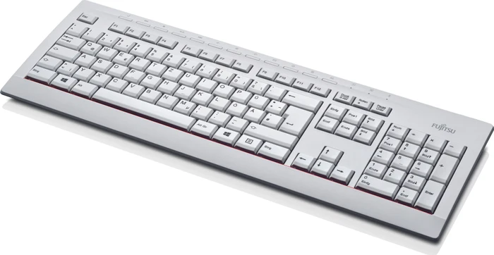 Fujitsu KB521 Keyboard, USB, CZ/US