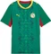 Puma FIFA WM 2026 Senegal Vorschaubild