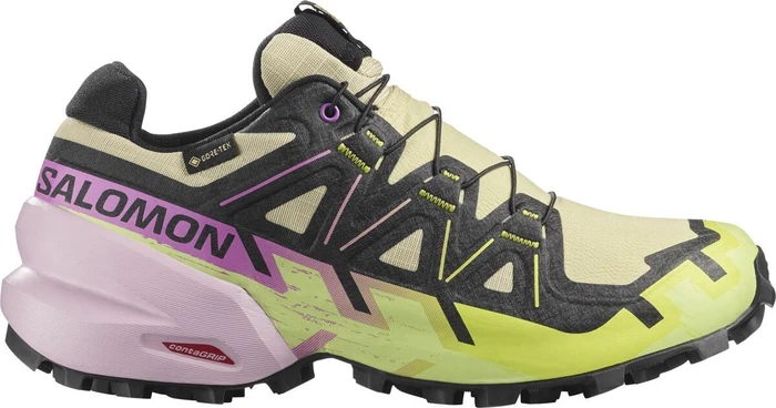Salomon Speedcross 6 Gore-Tex bog/dawn pink (Damen)