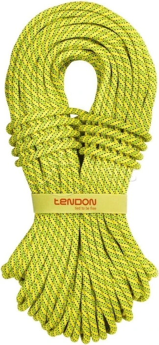 Tendon Ambition Einfachseil 9.8mm