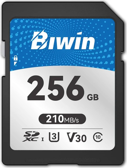 Biwin SD210 Series