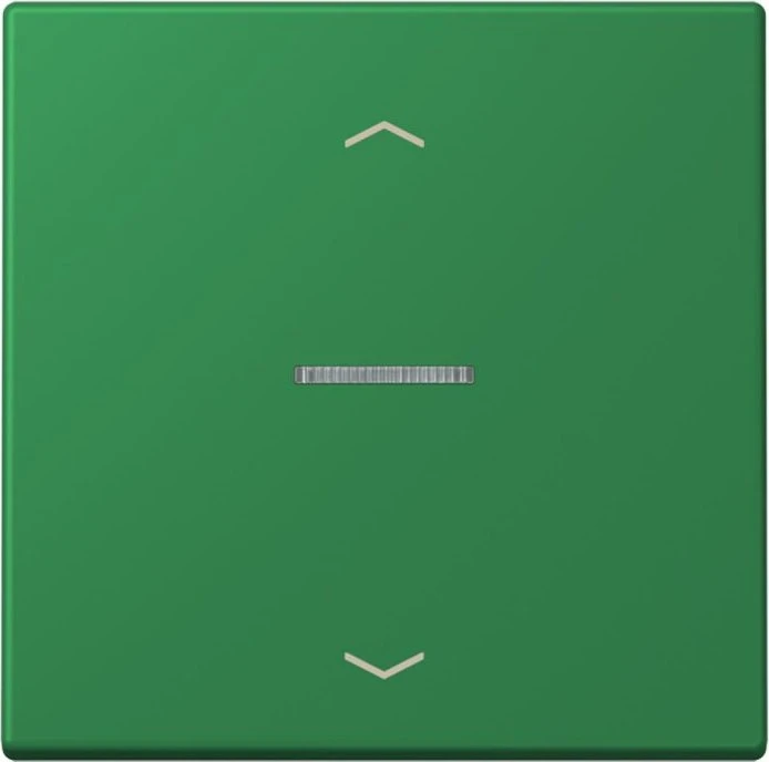 Jung HOME Taster 1-fach, vert foncé