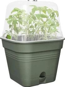Elho Green Basics All-In-1 20x20cm laubgrün