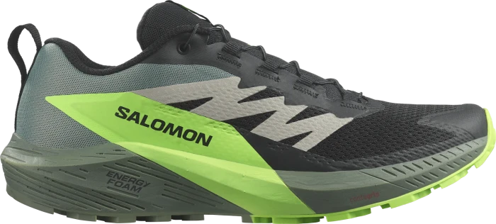 Salomon Sense Ride 5 black/laurel wreath/green gecko (Herren)