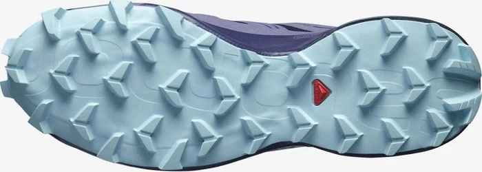 Salomon Speedcross 5 GTX night sky/cadet/crystal blue (Damen)