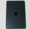 Apple iPad mini, Black & Slate, 64GB Vorschaubild