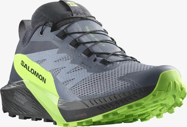 Salomon Sense Ride 5 GTX flint stone/black/green gecko (Herren)