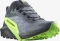Salomon Sense Ride 5 GTX flint stone/black/green gecko (Herren) Vorschaubild