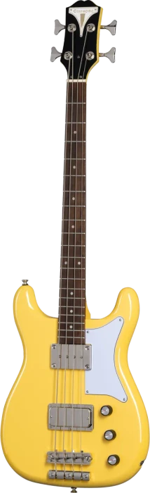 Epiphone Newport Bass