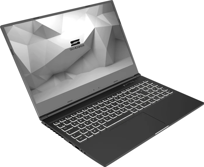 Schenker Media 15-E20vmn, Core i7-10750H, 32GB RAM, 1TB SSD, GeForce RTX 2060, DE