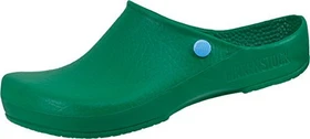 Birkenstock Klassik Birki antistatic green