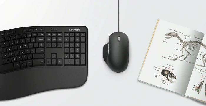 Microsoft Ergonomic Mouse schwarz, USB